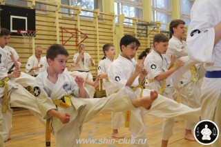 спорт каратэ для детей (12)